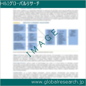 グローバルリサーチ調査レポートのイメージ